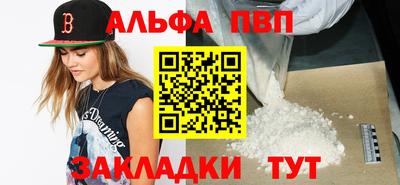 бошки Кингисепп