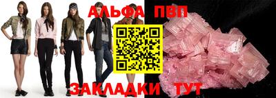 бошки Кингисепп