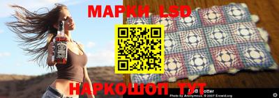 бошки Кингисепп