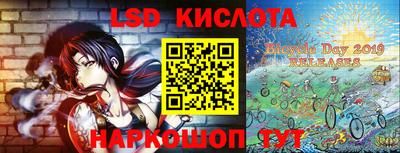 бошки Кингисепп