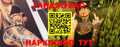 бошки Кингисепп