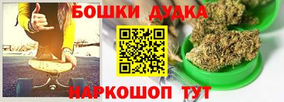 бошки Кингисепп