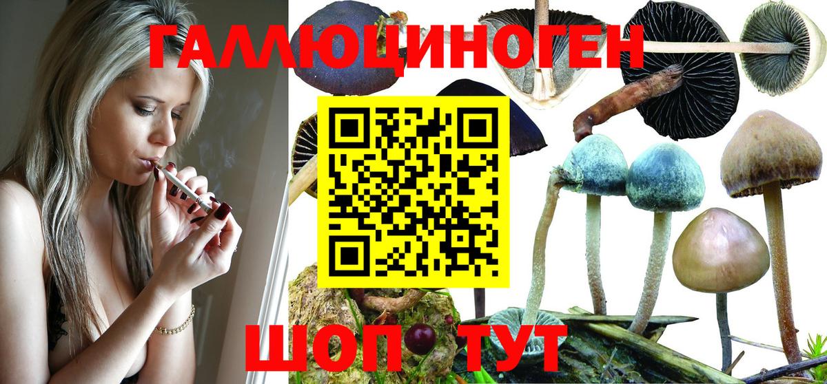 Псилоцибиновые грибы ЛСД Красный Сулин